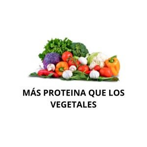 VEGETALES 6